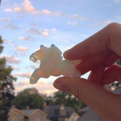 722cc彩票下载手机版