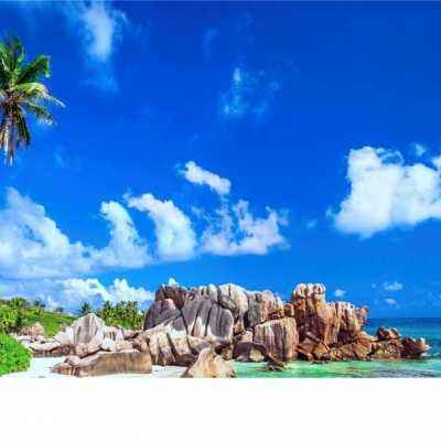 永盈会手机版app下载