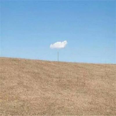 天博tb综合体育官方app下载